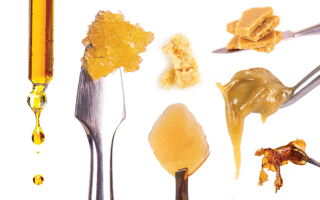 Introduction to Cannabis Concentrates: Understanding the Essentials